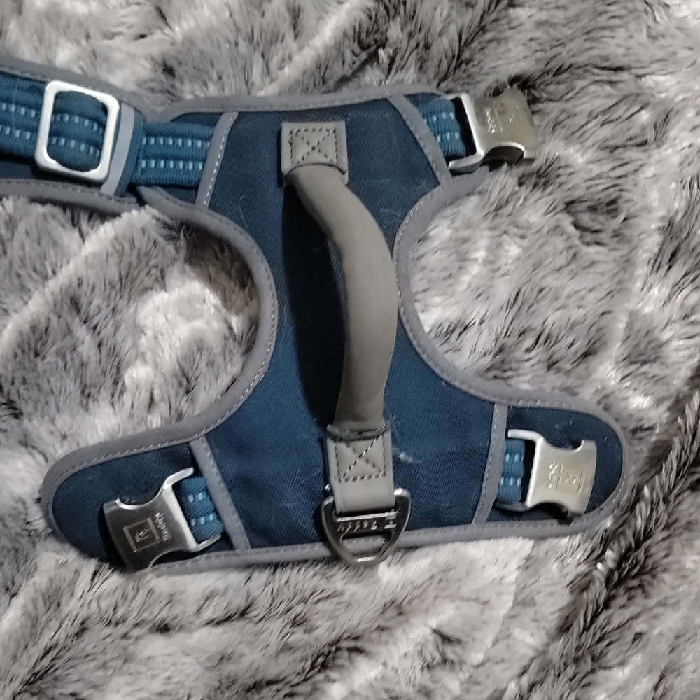 Reddy  Dog Harness